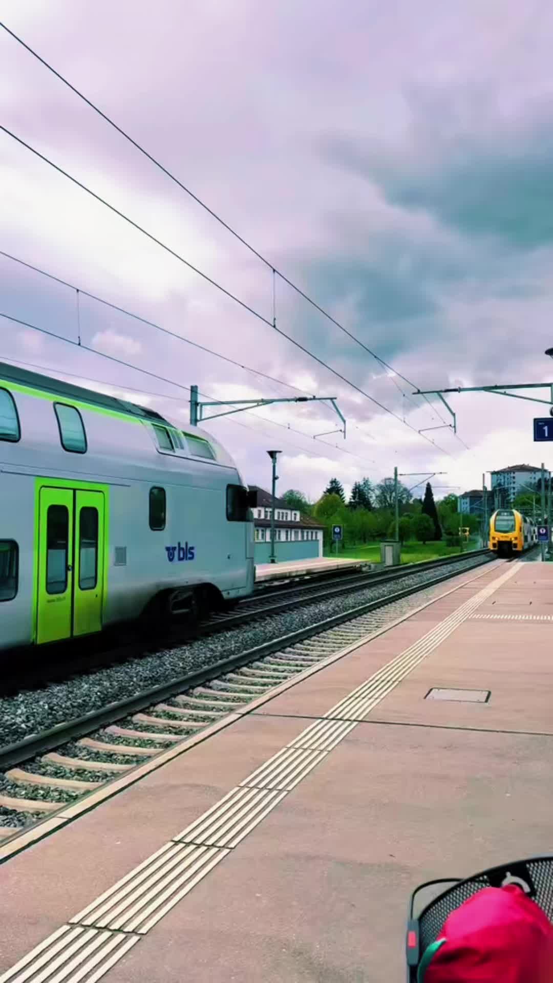 @TatuSwiss🇨🇭❤️🇳🇵