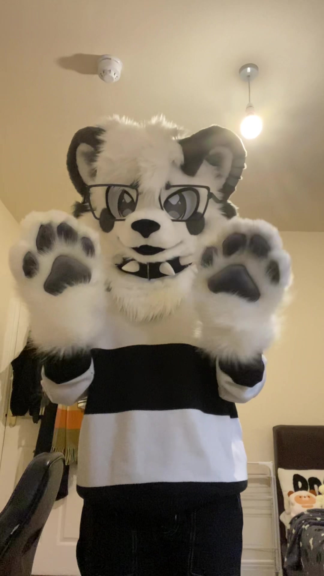 @🎬Lykoi🐾