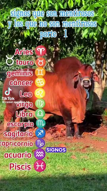 @🪸🧜&zwj;♂️🐚beruthiel oscur🐚🐚🧜