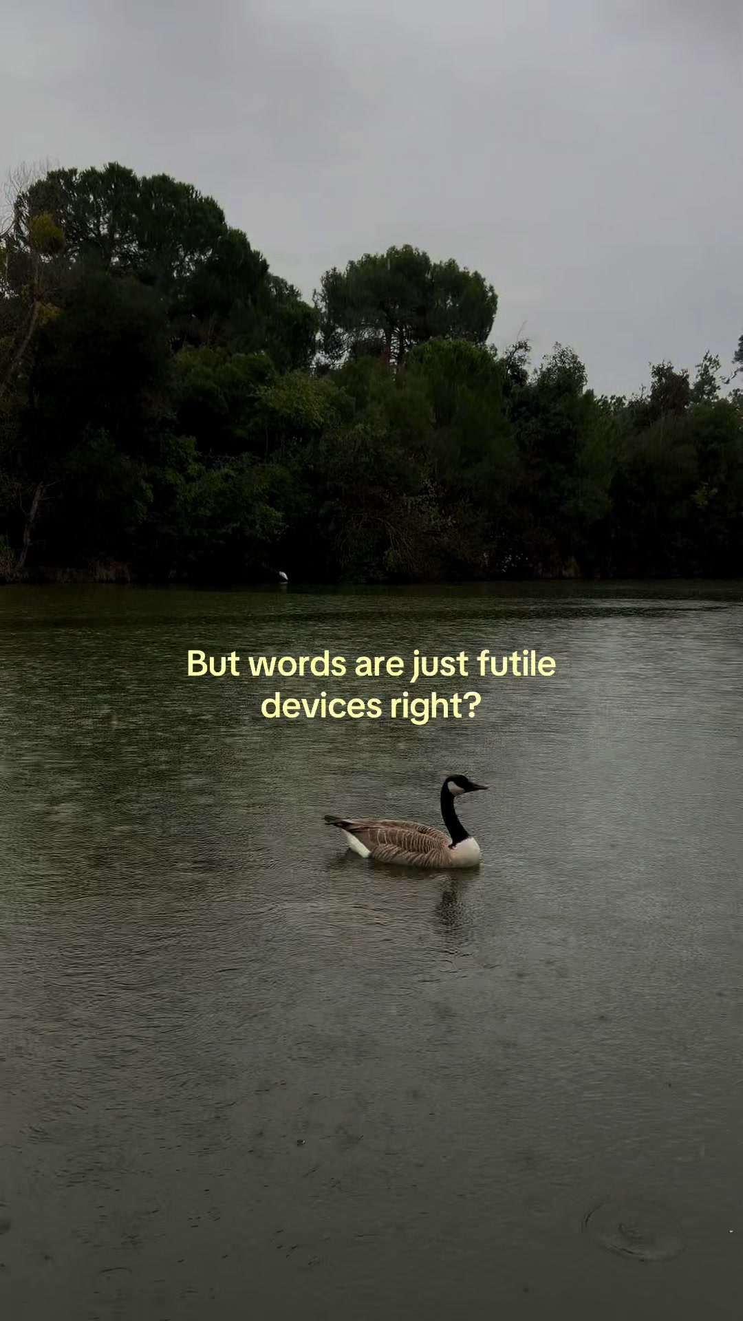 @Jonaven