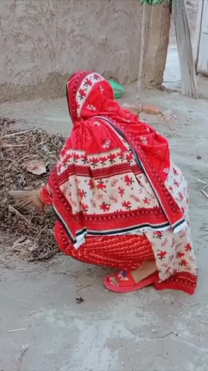 @Zainab Rajput
