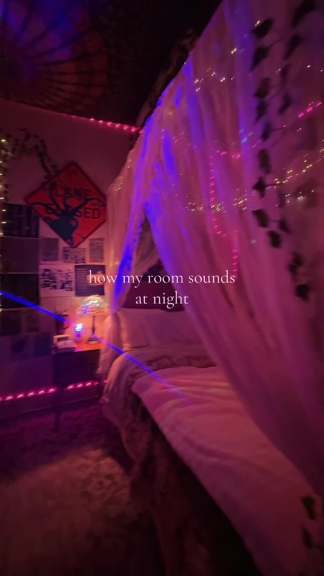 @brooklyn °❀⋆.ೃ࿔*:・
