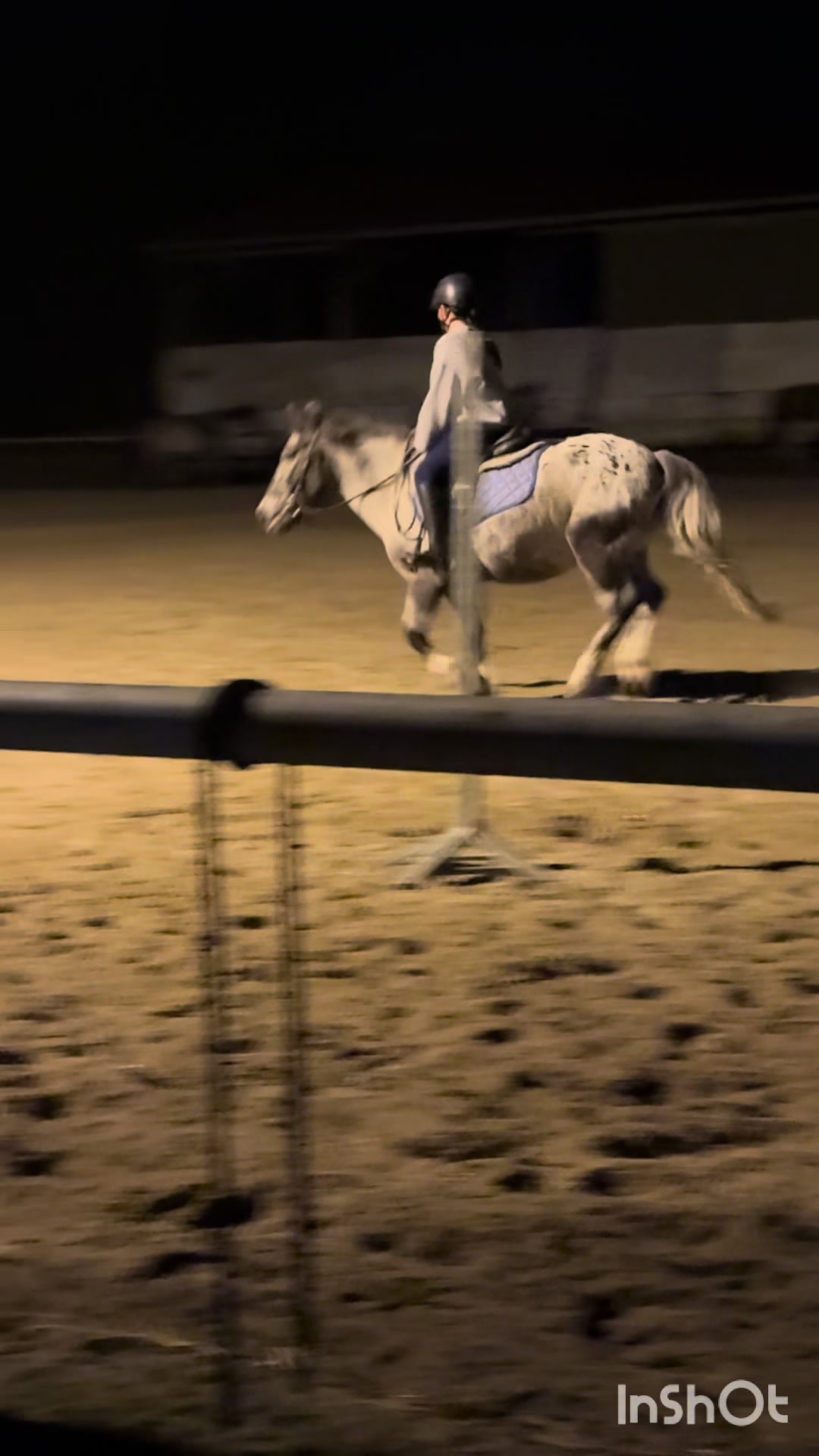 @l.equestrian🪽