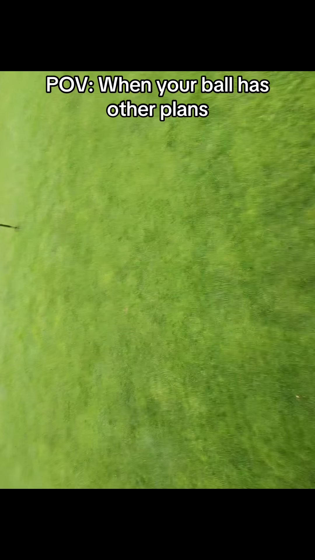 @GolfBite