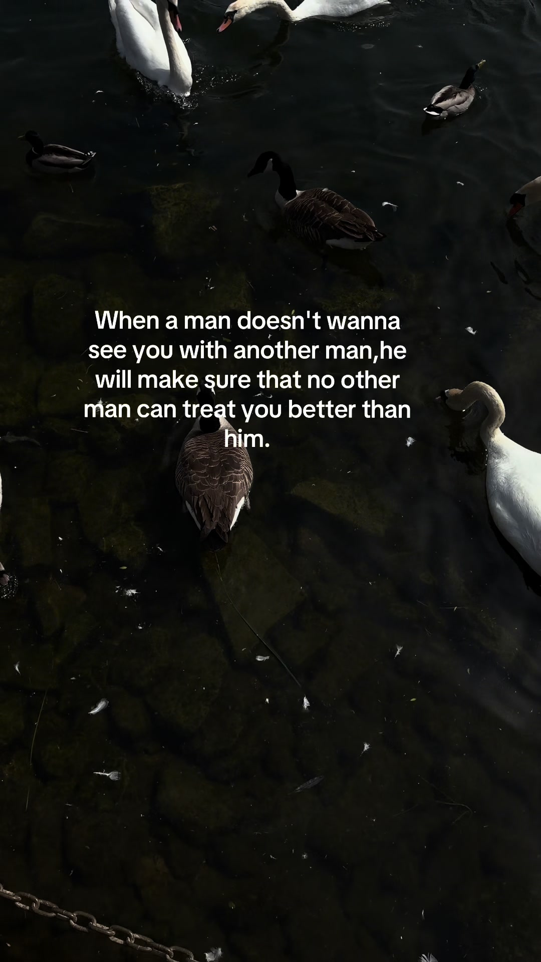@Eugene