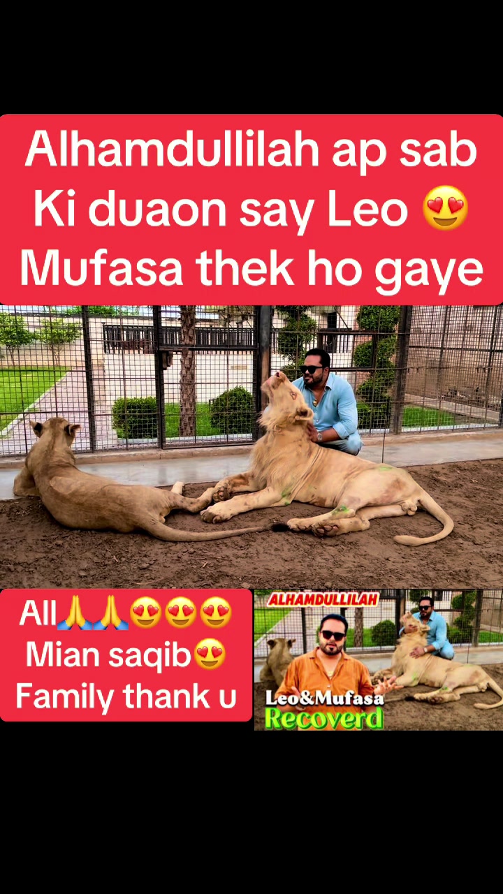 @Mian saqib