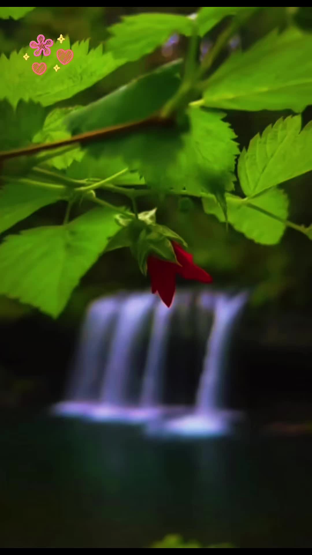 @Zubia_K
