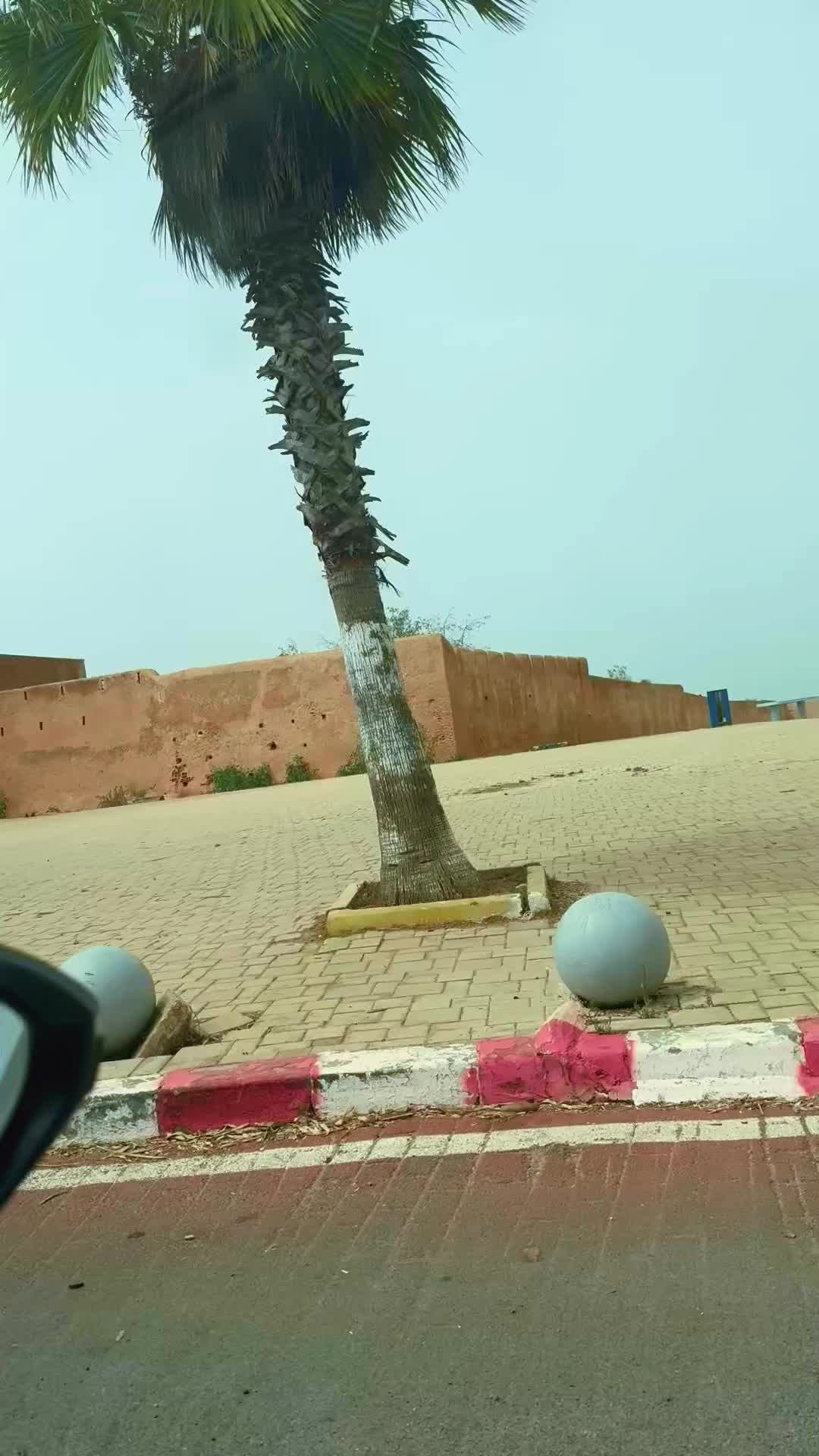 @غزولة 🌹🍓