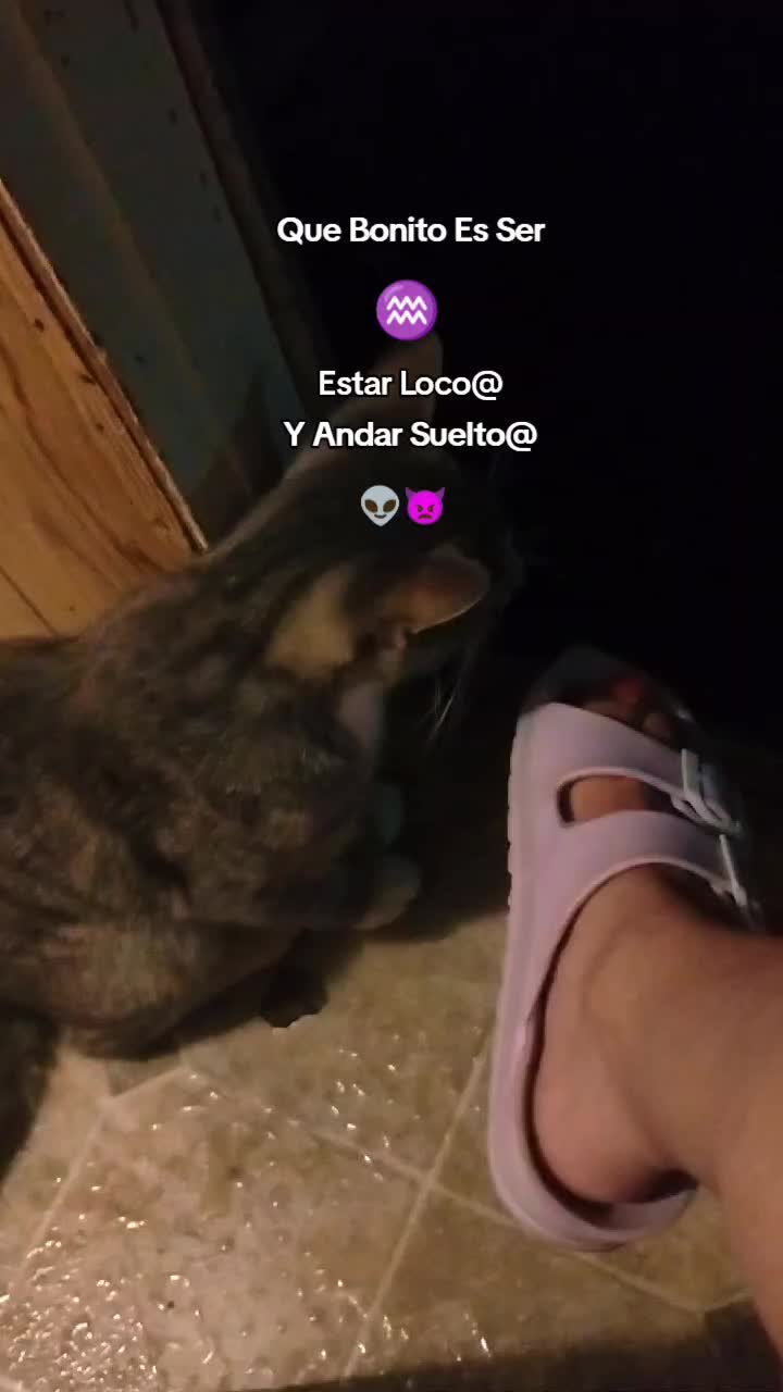 @Marichito 78