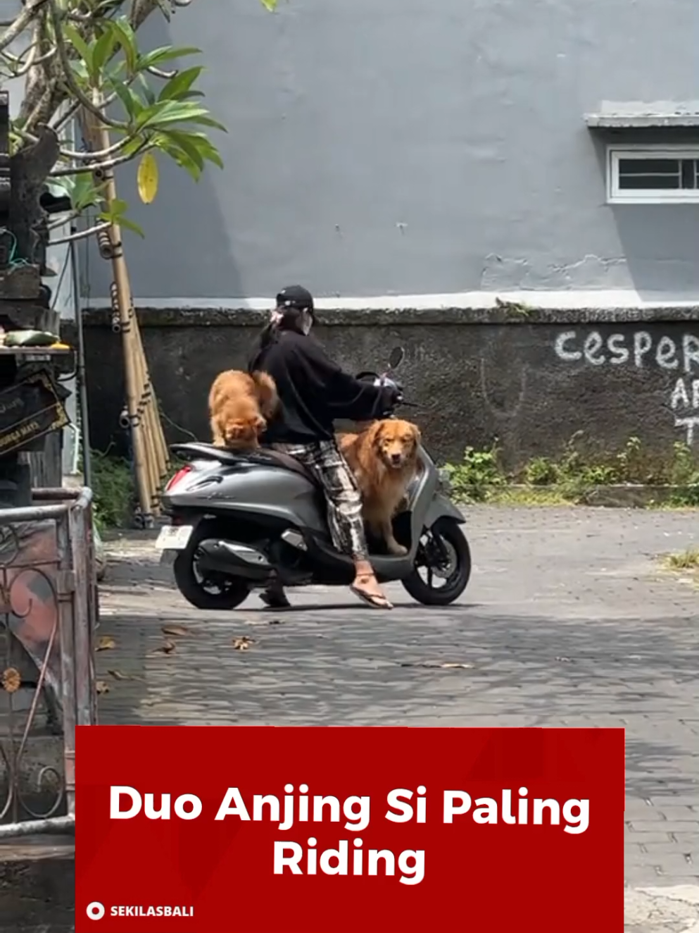 @Sekilas Bali