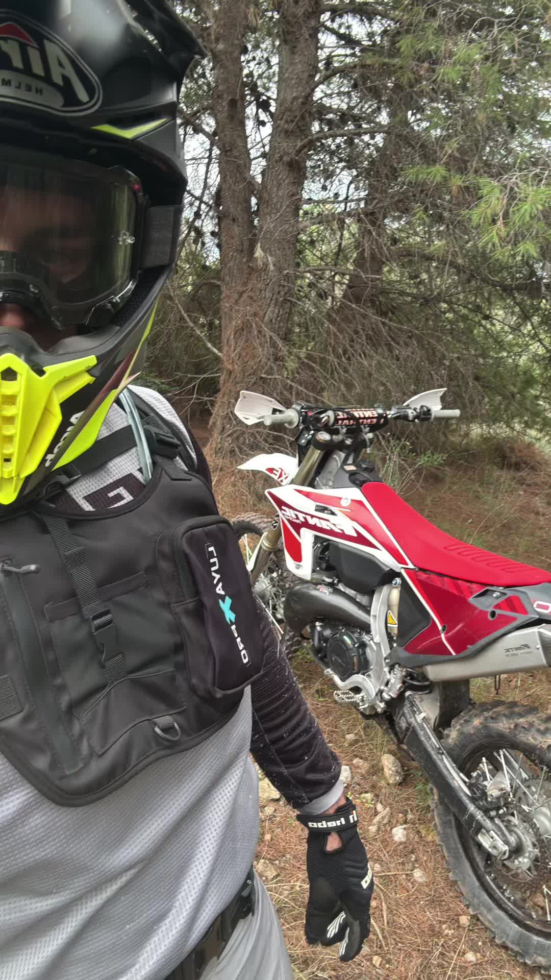 @Pedromerida9