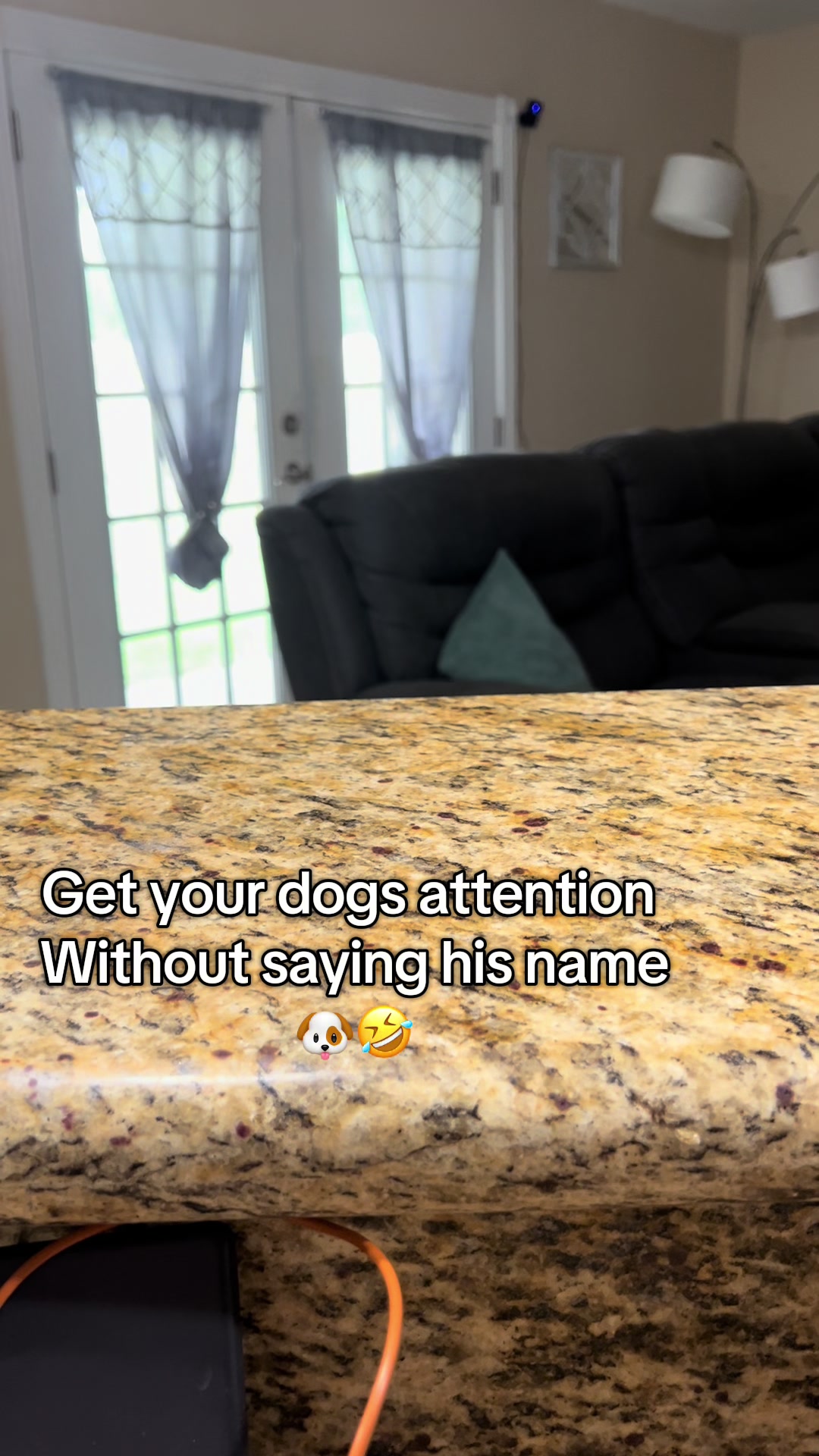 @Gunner GSD🐶