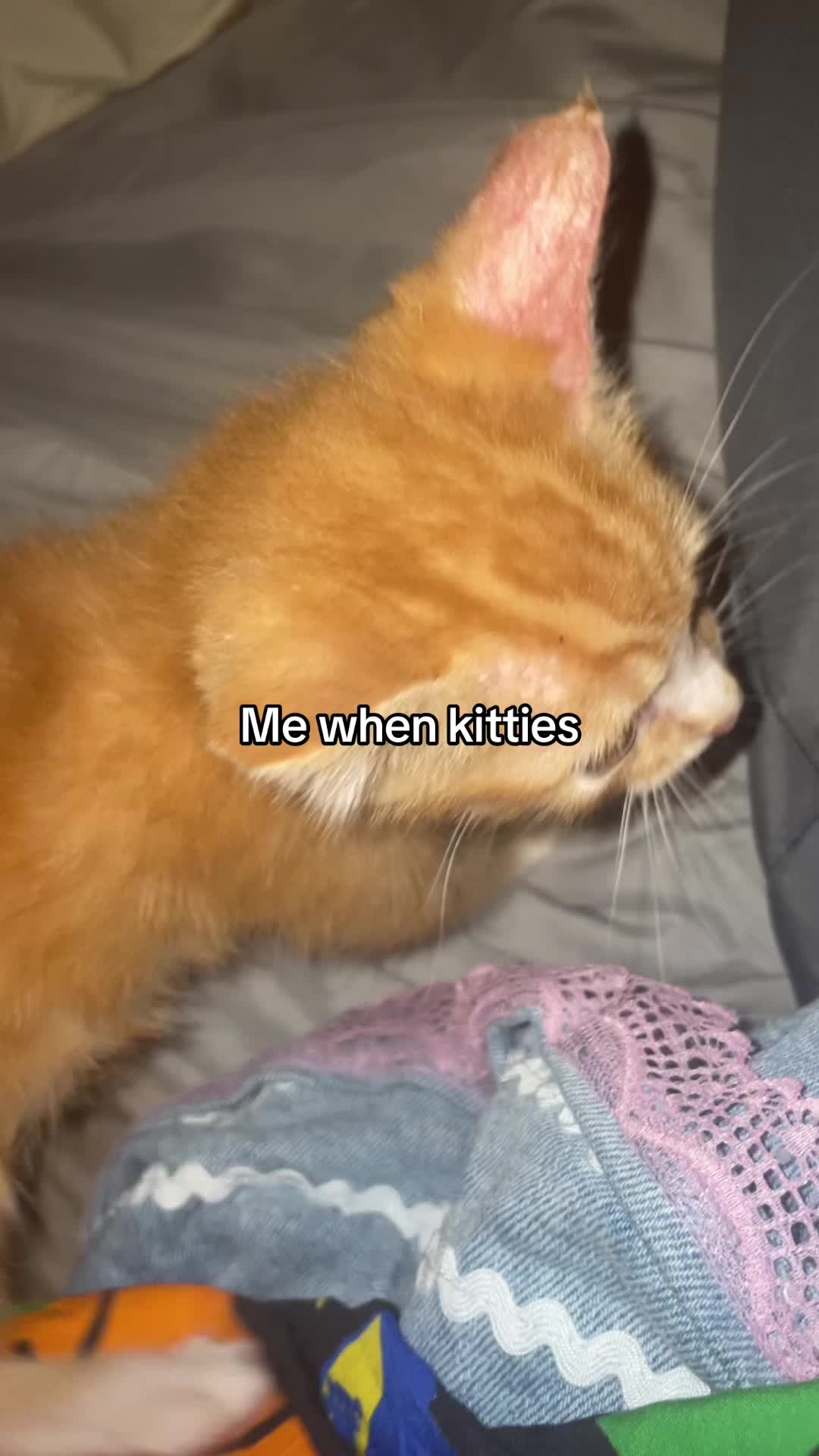 @Minti