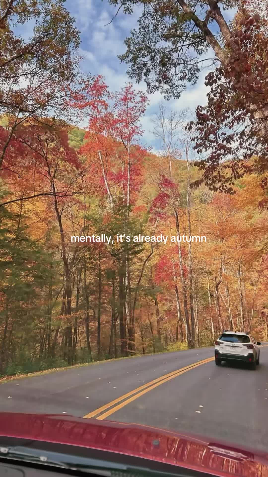 @;)