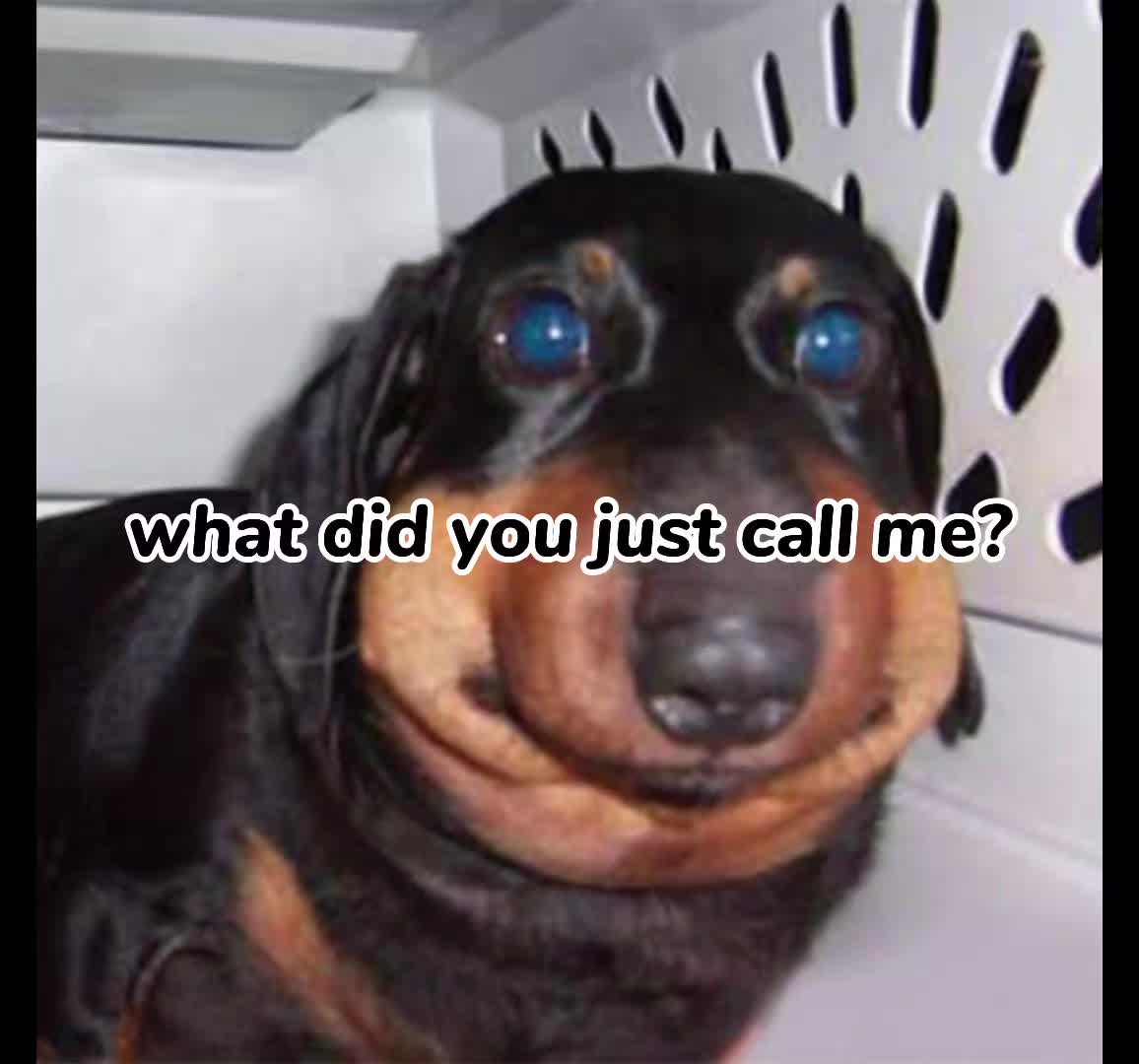 @Rylee