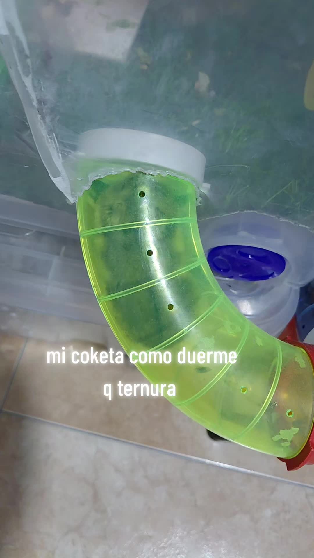 @princesa manchis