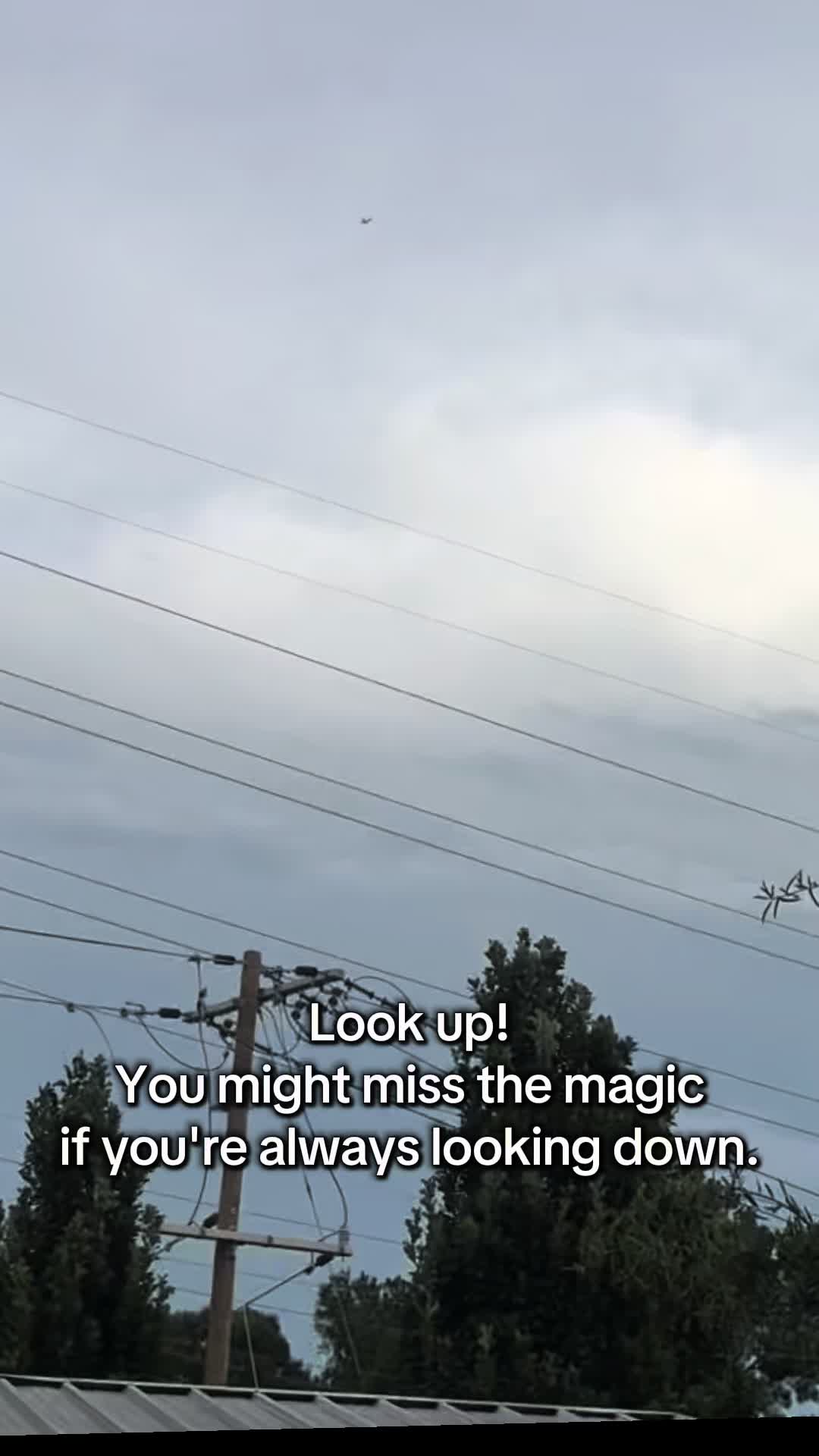 @JessesChick