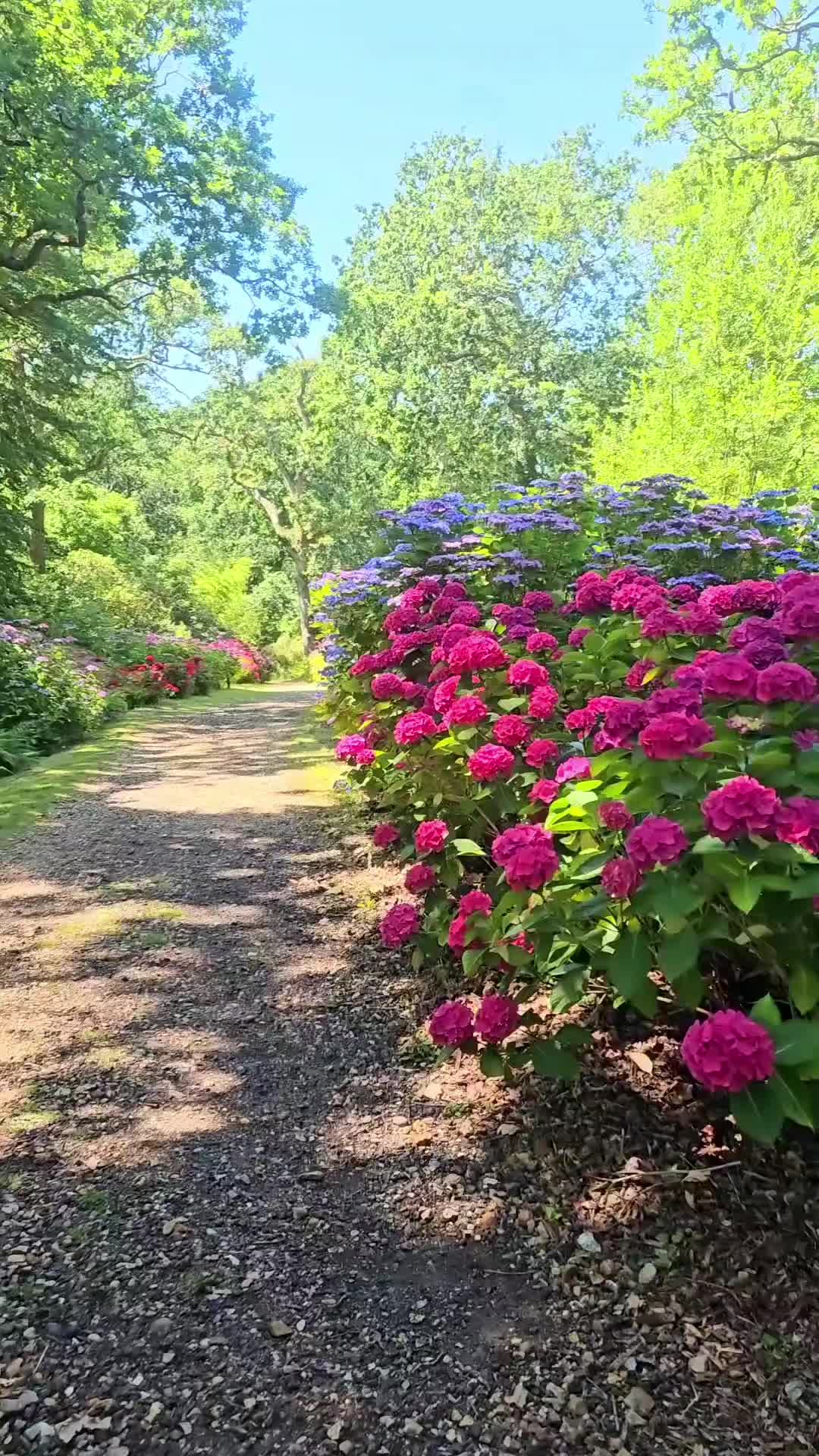 @Diary of a nature lover