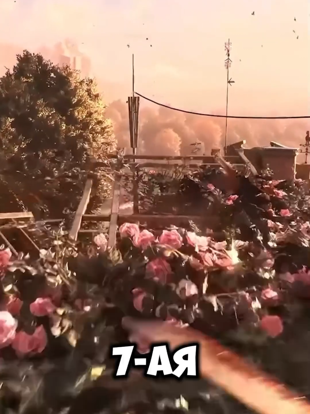 @vitaliks💕✨️
