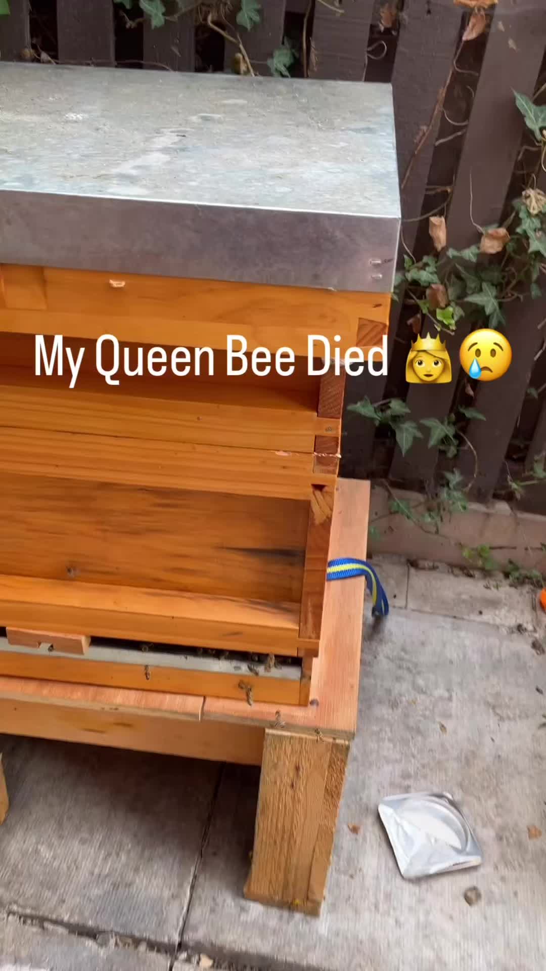 @BeeMan0161