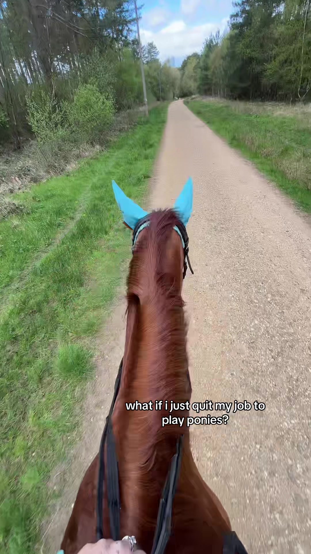 @ell 🌾🐴