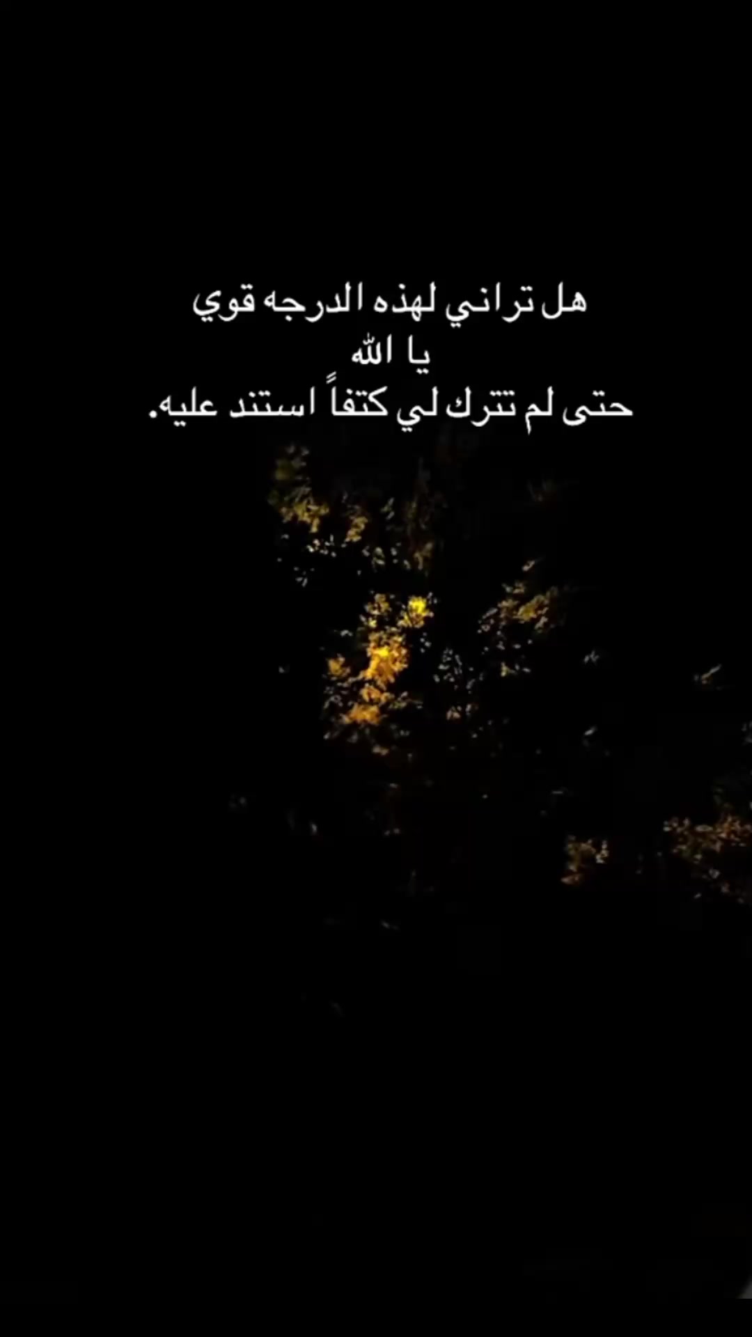 @ﭑيۧݪانٛډړاَ ۦٰ۪ﮧ،❤