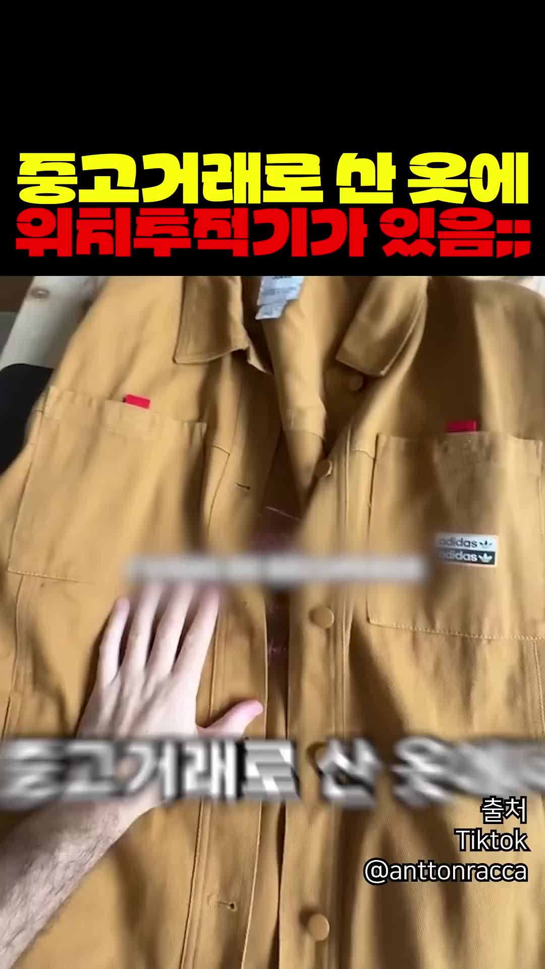@짱아까미