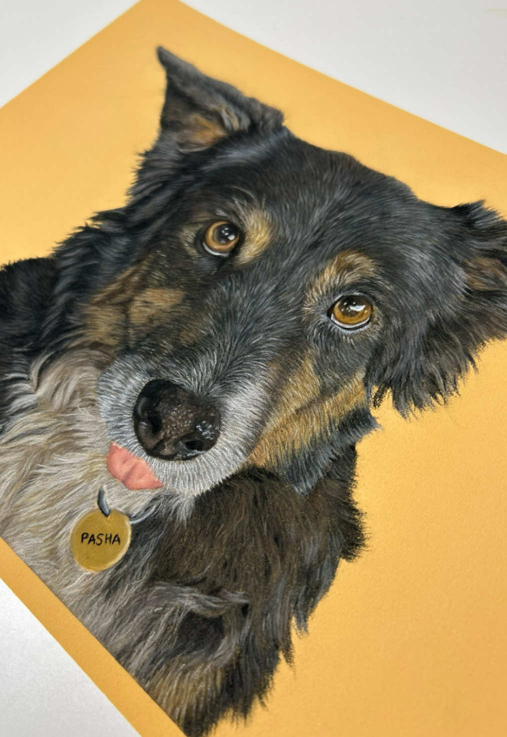 @Pet portraits