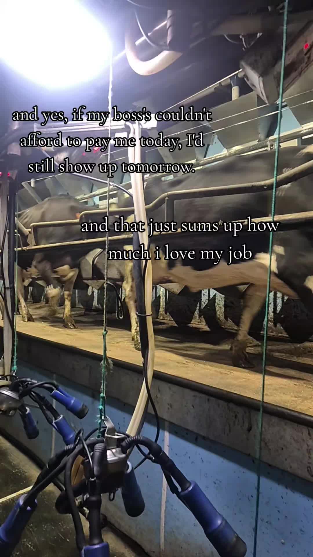 @m.scott 🐄🤠