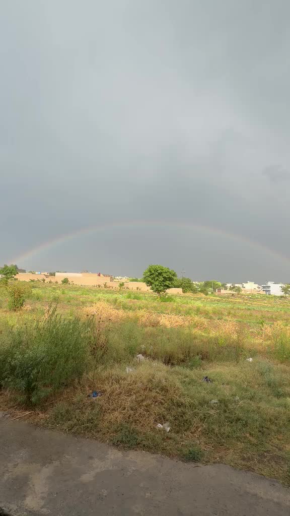 @Shumaila Akhtar