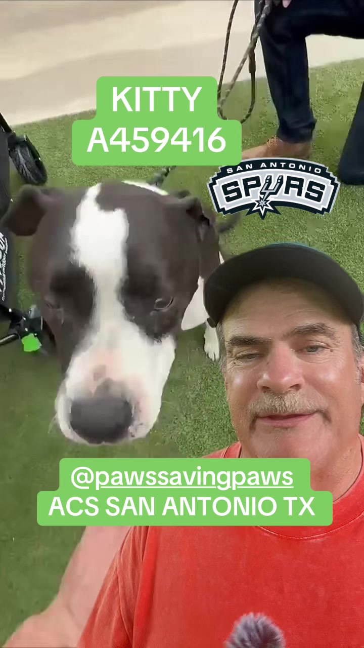 @๐ @stickwithdave