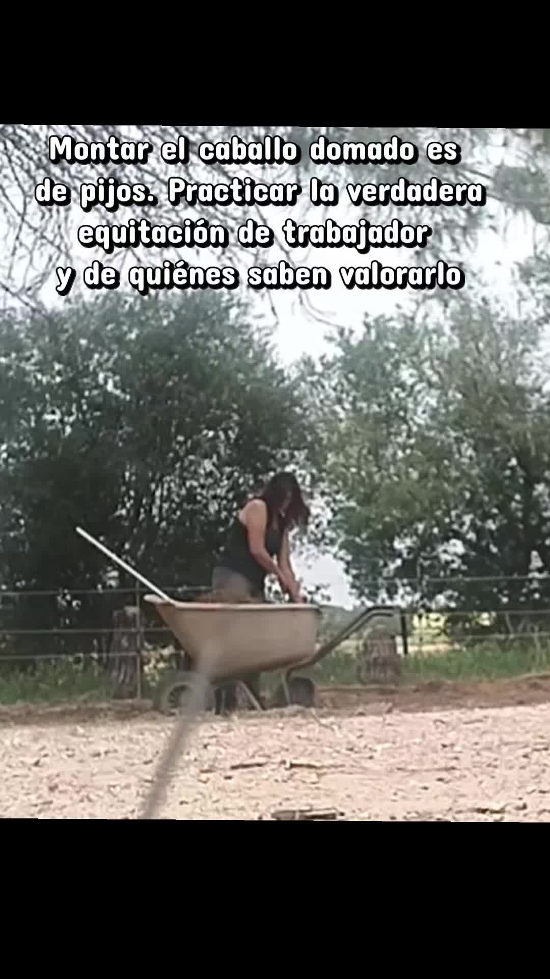 @LA CHICA DEL PONY🐴🌼