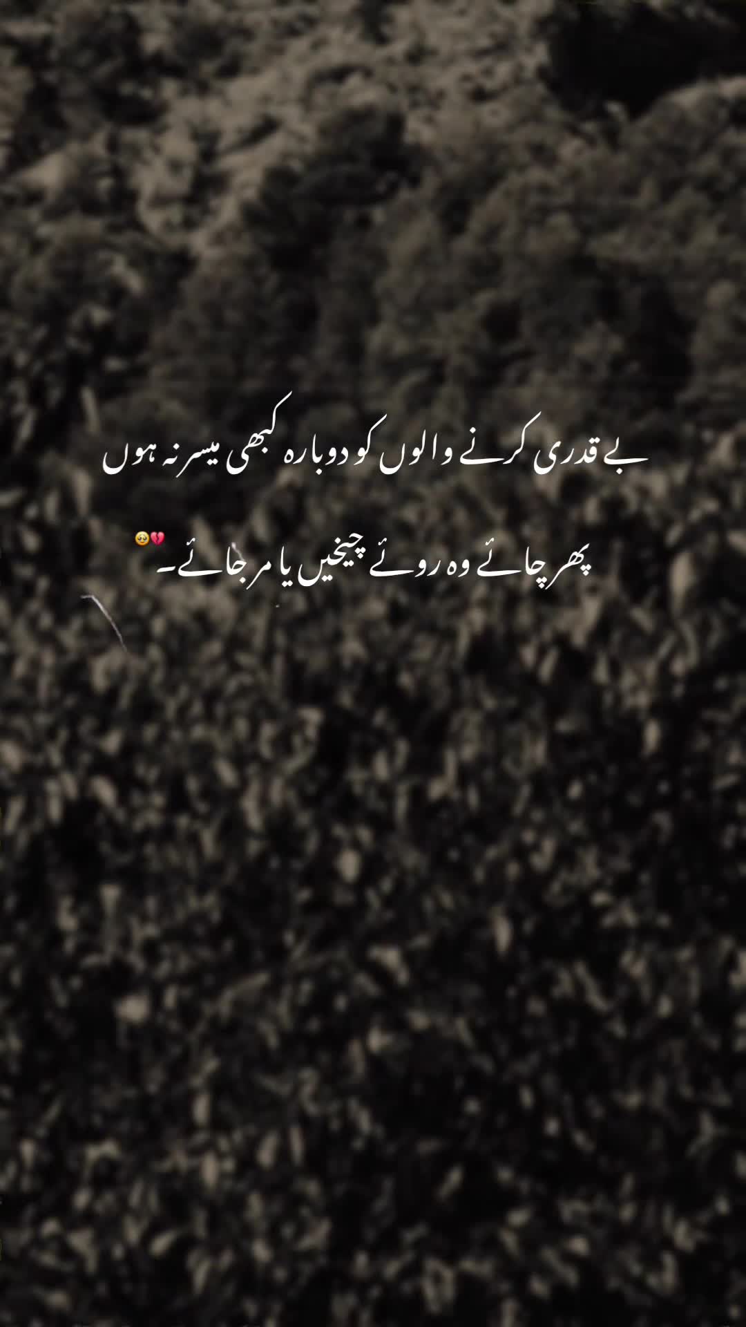 @𝘼𝙮𝙖𝙣♠