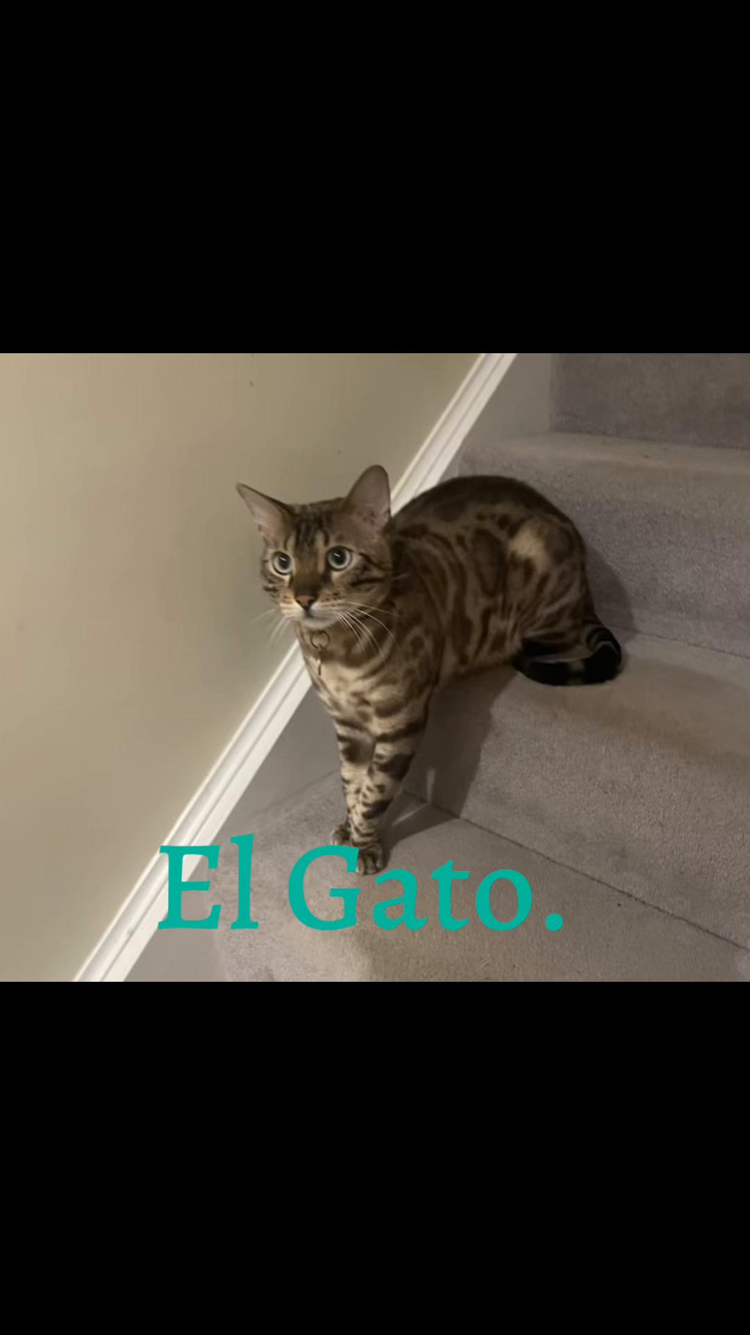 @Wow good video