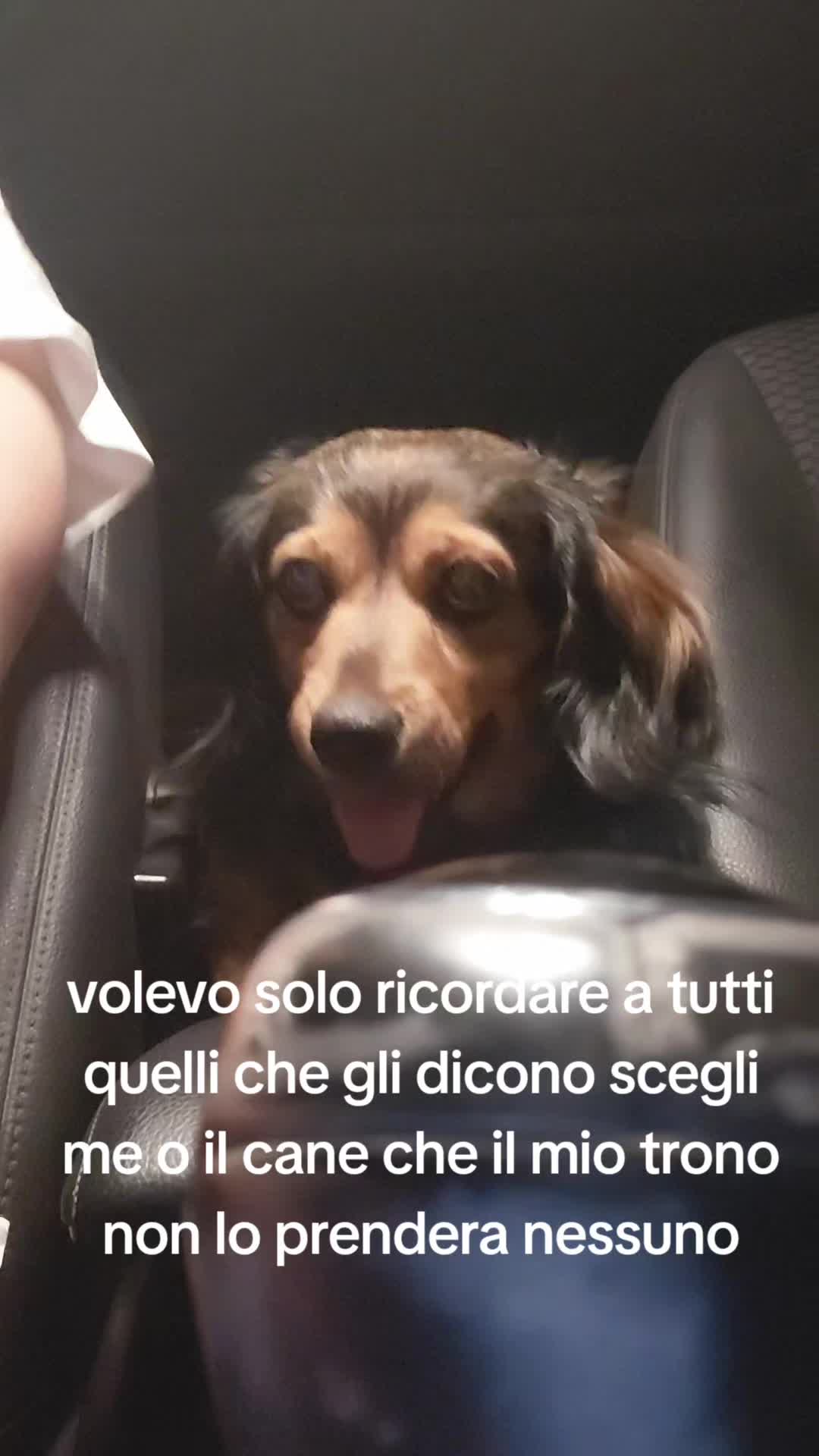 @Elisa🐶Ronda