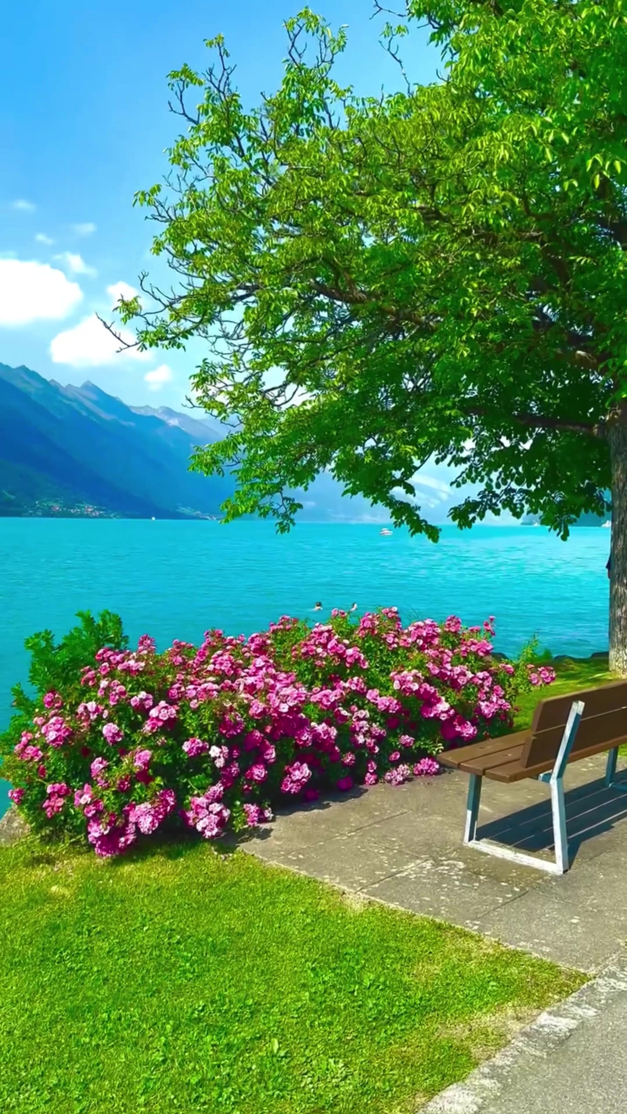 @World 🌍 beauty