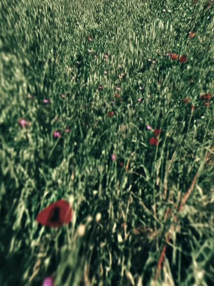 @MohammedShajuMiah