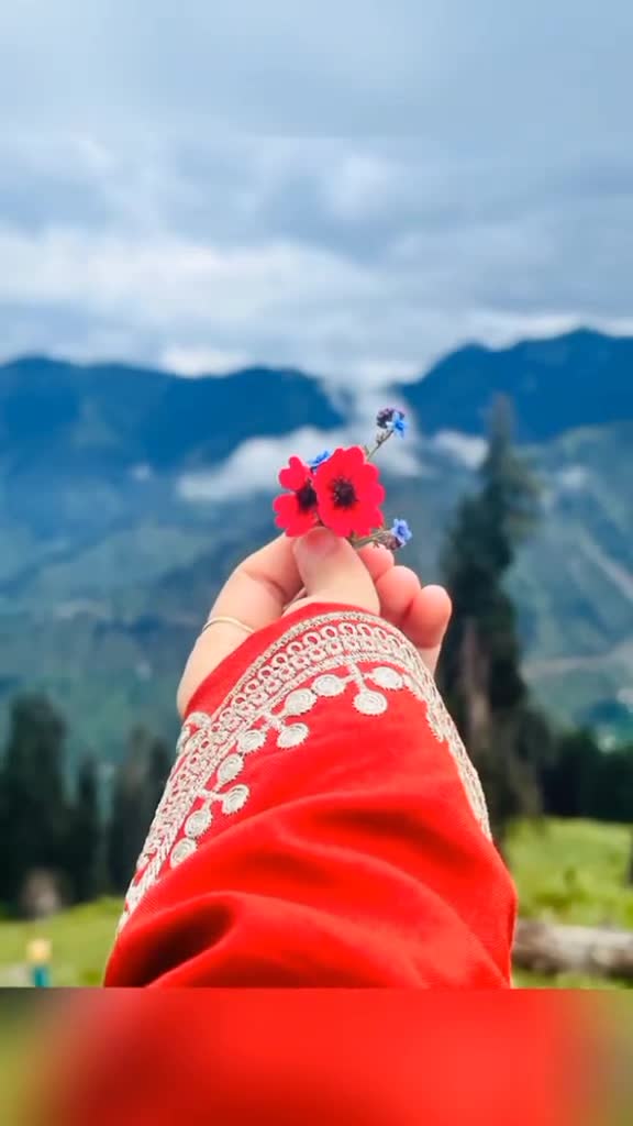 @چ٘ـٌـَـٕــٓڑیِـٓــًــٕــّل
