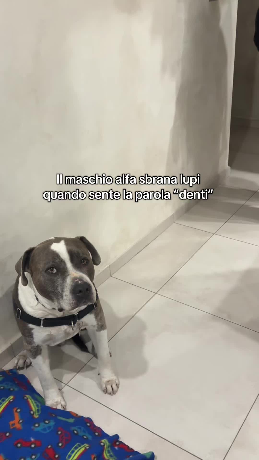 @RebbyChris+Romeo