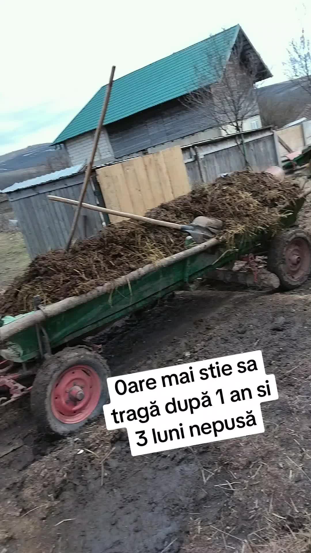 @Vlase179