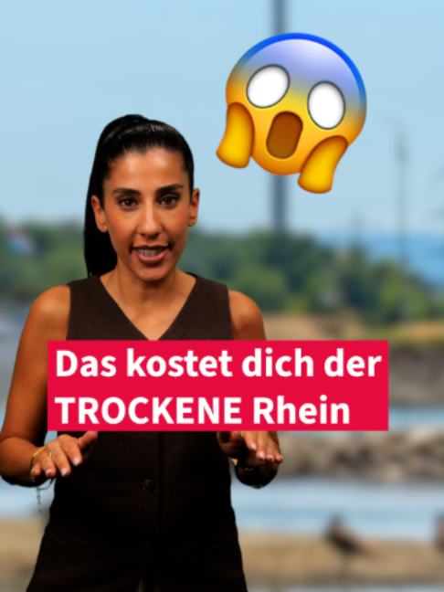 @Frankfurter Allgemeine