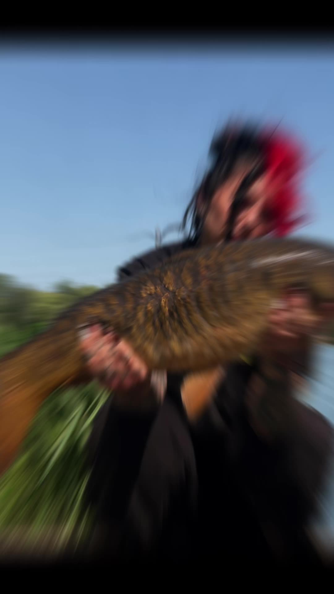 @Goodz Carp Baitz