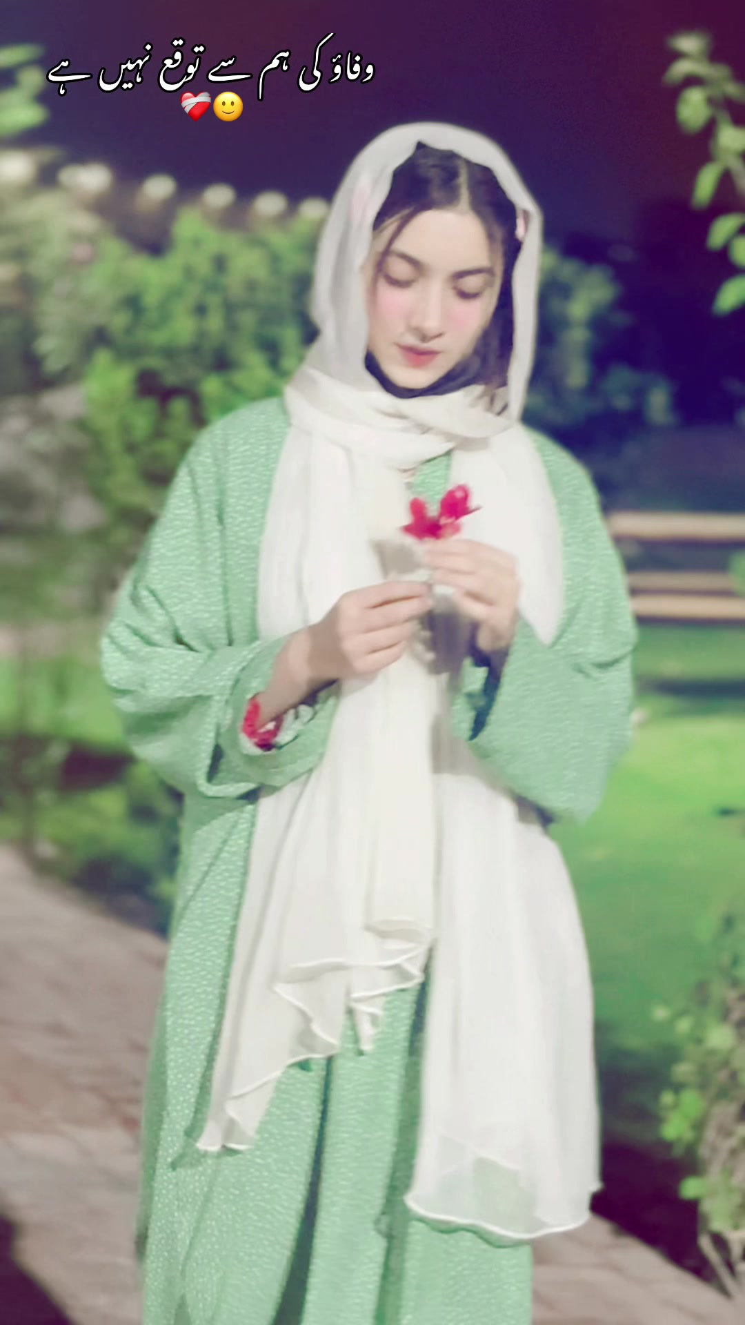 @Areeba Rajpoot 🇬🇧✨