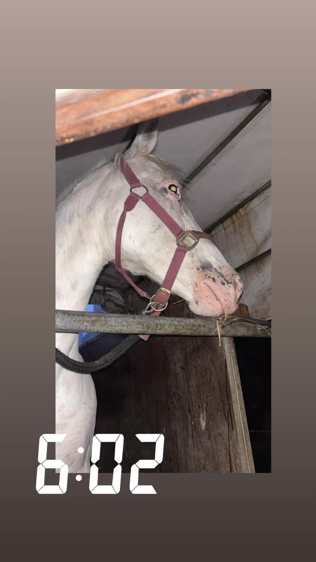 @💋 csókollak💋