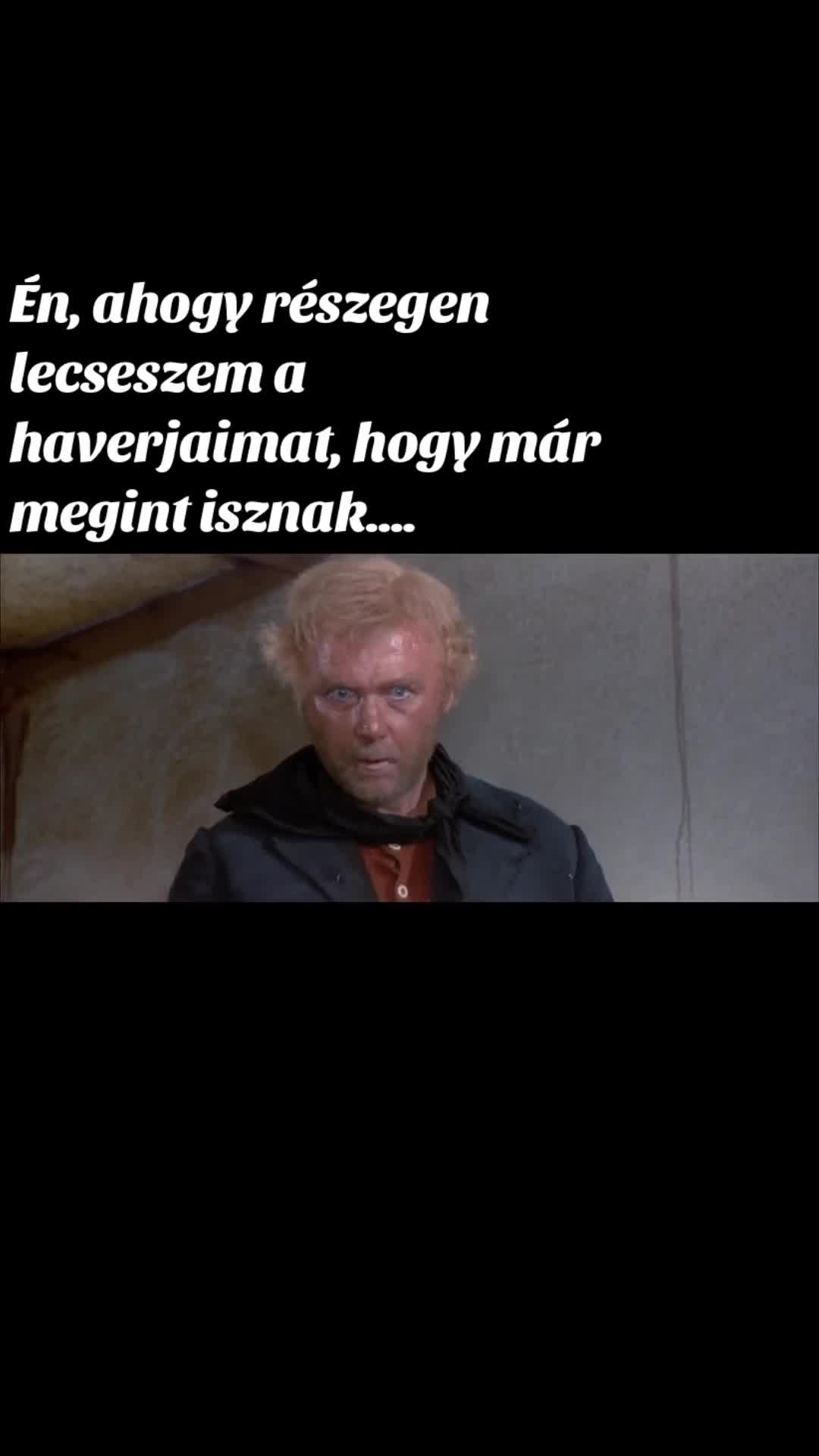 @buczivok