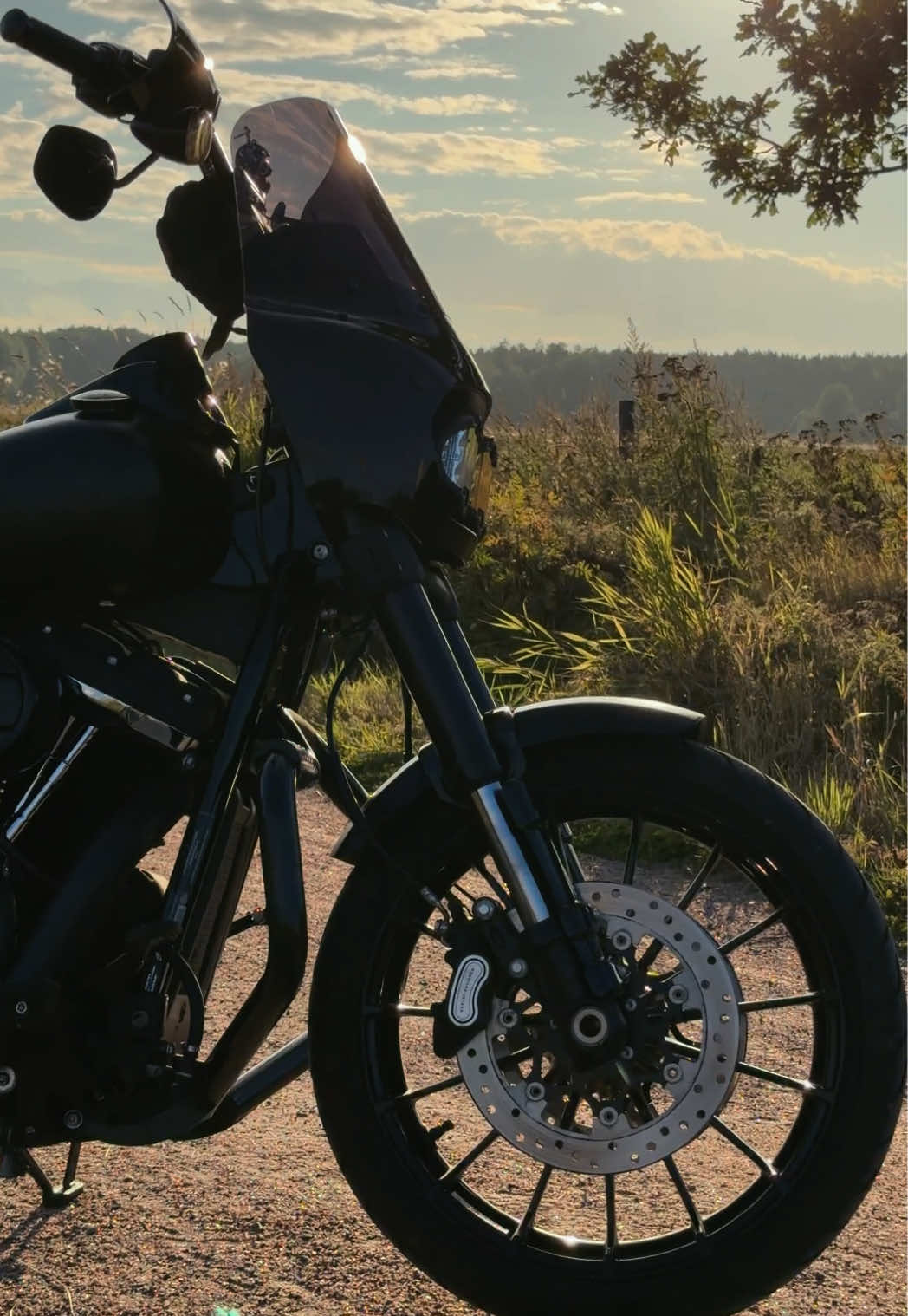 @viking2wheels