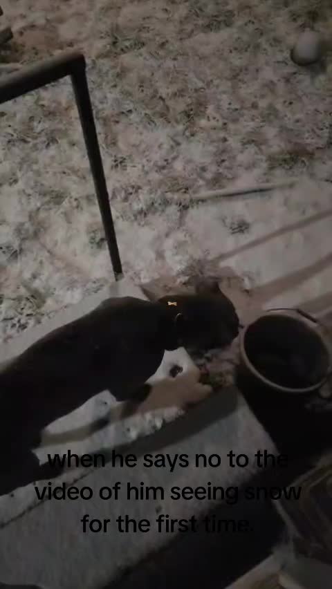 @bhg93