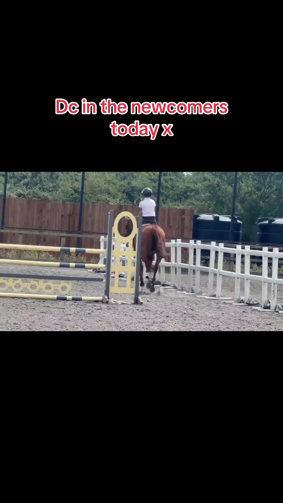 @Ronnie moore's showjumping