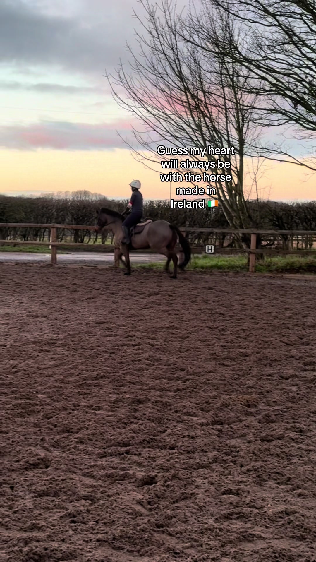 @MG.eq🇬🇧🐴
