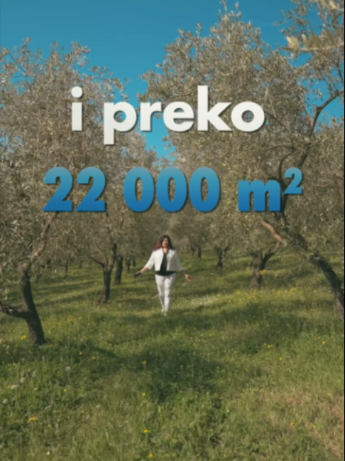 @dux nekretnine